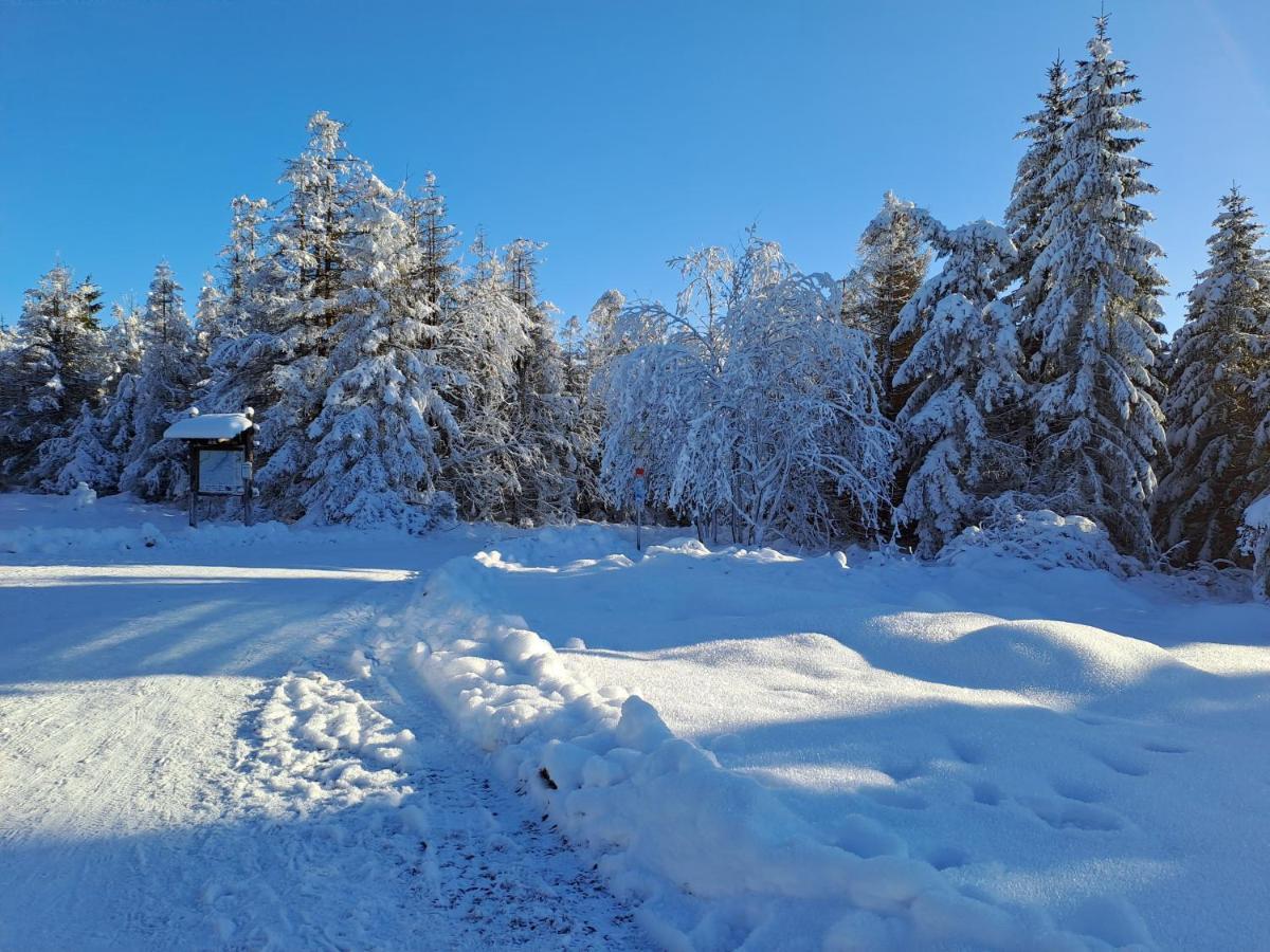 Wohnen Wie Bei Freunden Braunlage Esterno foto